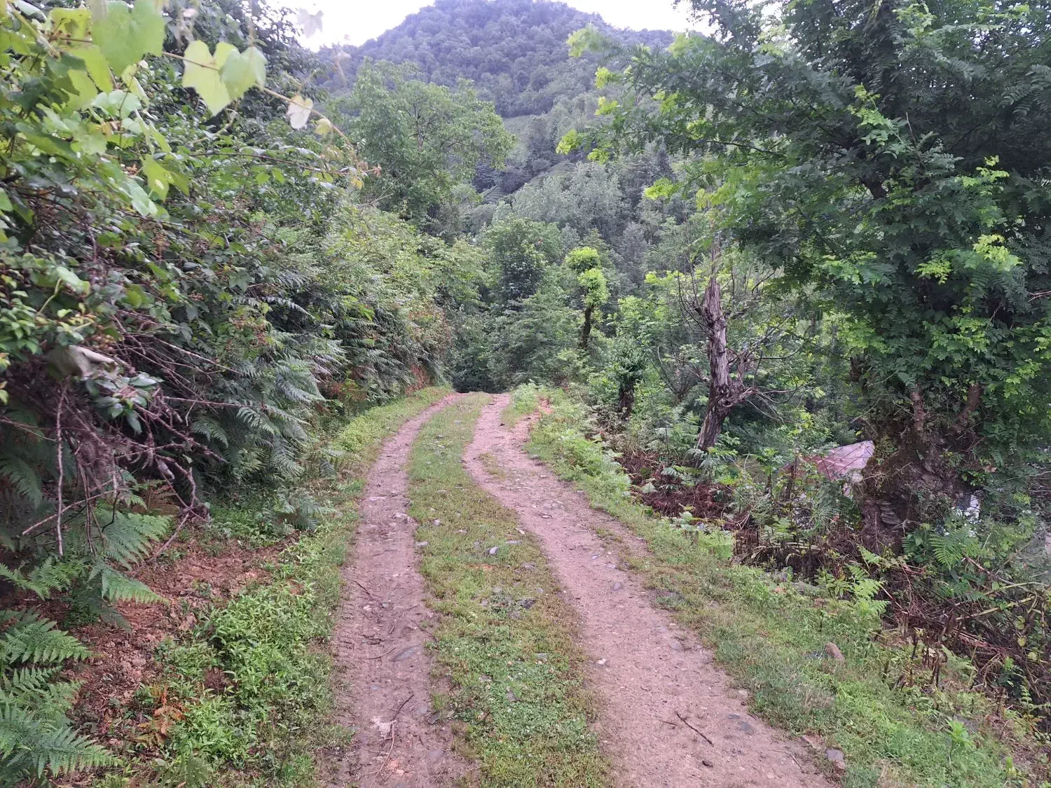 تصویر املاک 35449