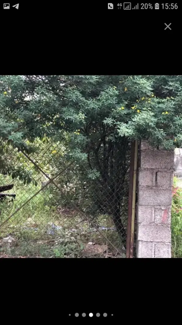 تصویر املاک 62113