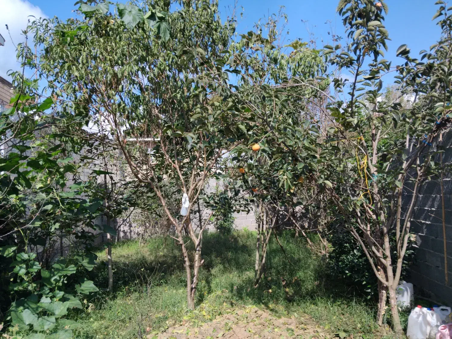 تصویر املاک 7349
