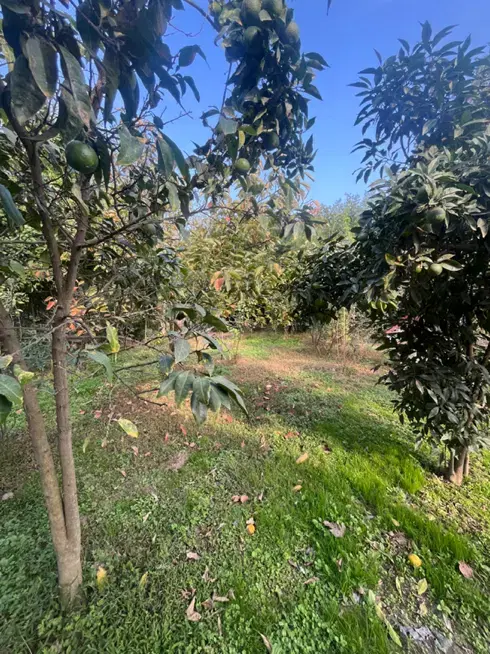 تصویر املاک 76575