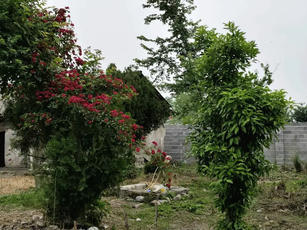 تصویر املاک 91900