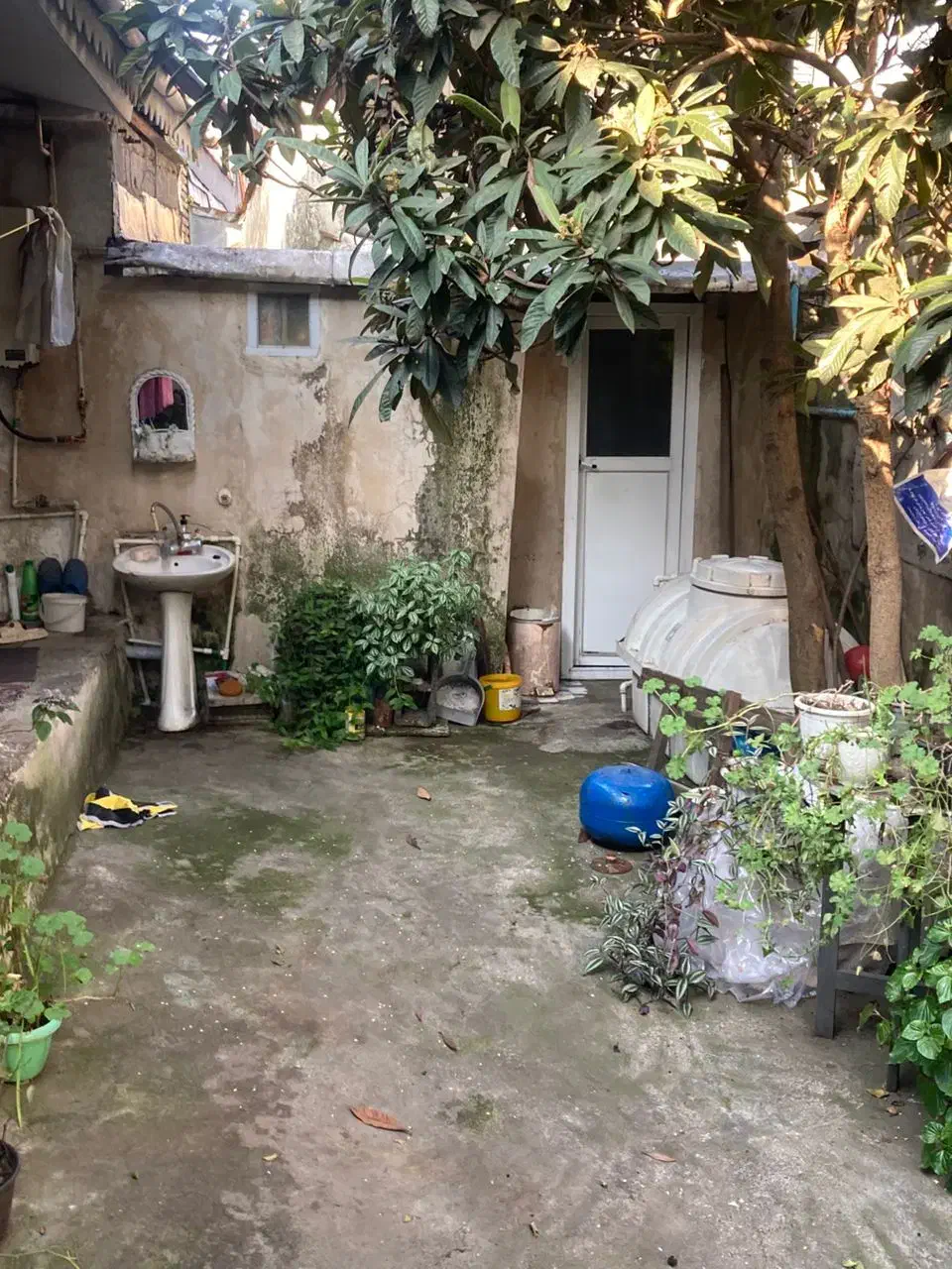 تصویر املاک 19372