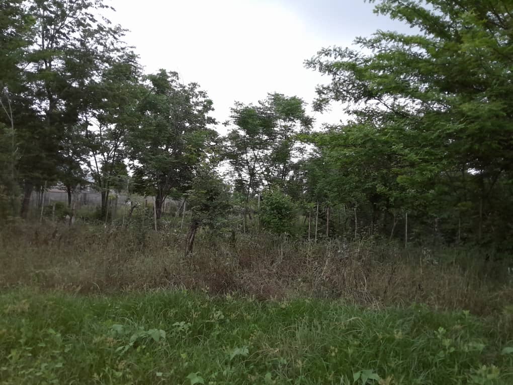 تصویر املاک 1807