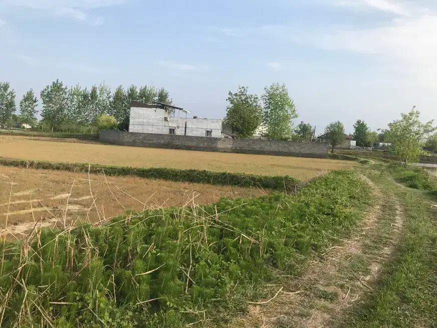 تصویر املاک 7813