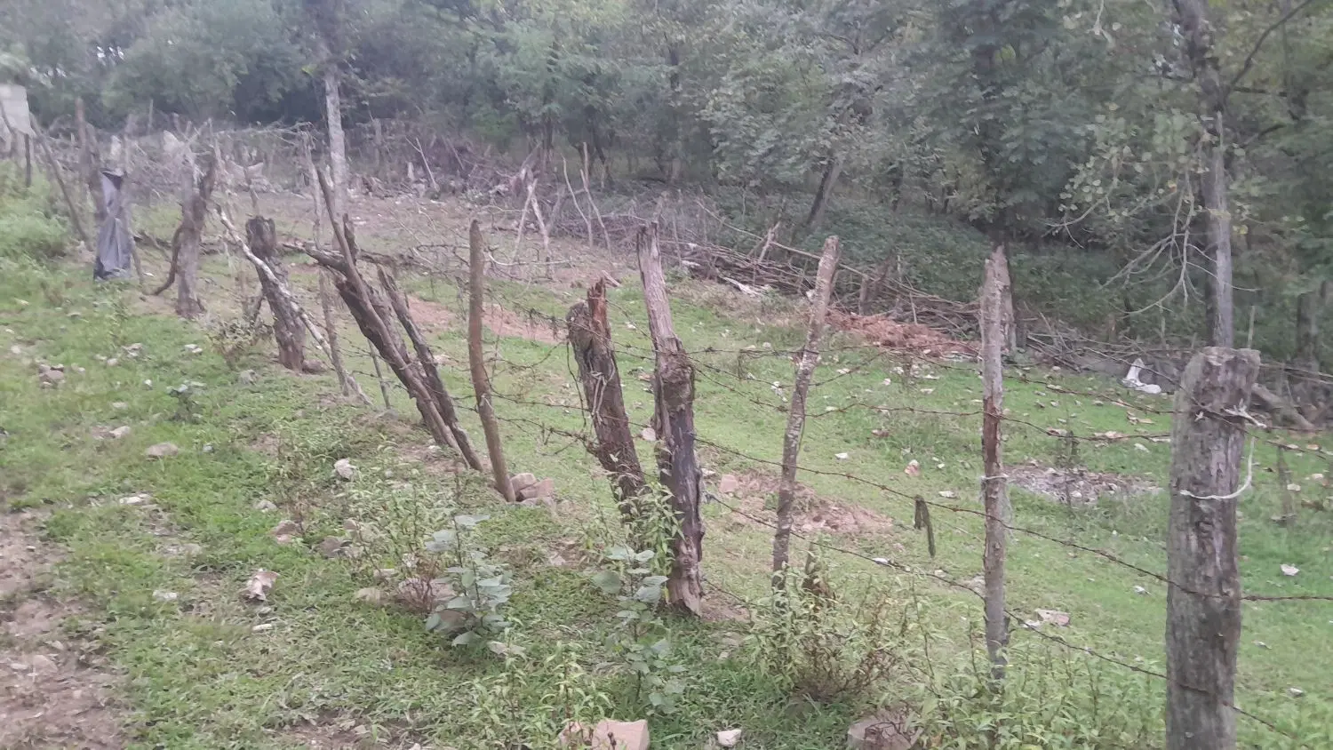تصویر املاک 142323