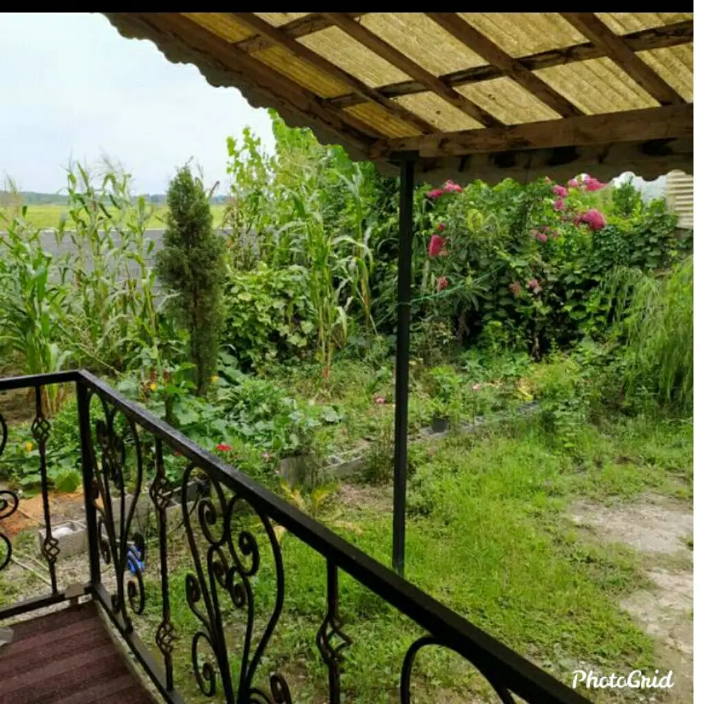 تصویر املاک 55469