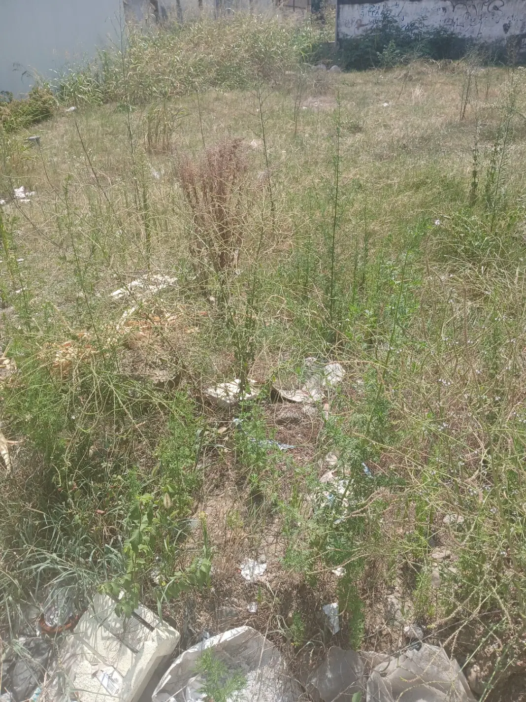 تصویر املاک 109996