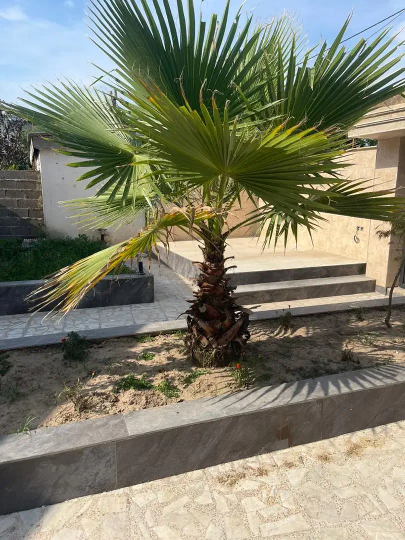 تصویر املاک 5951