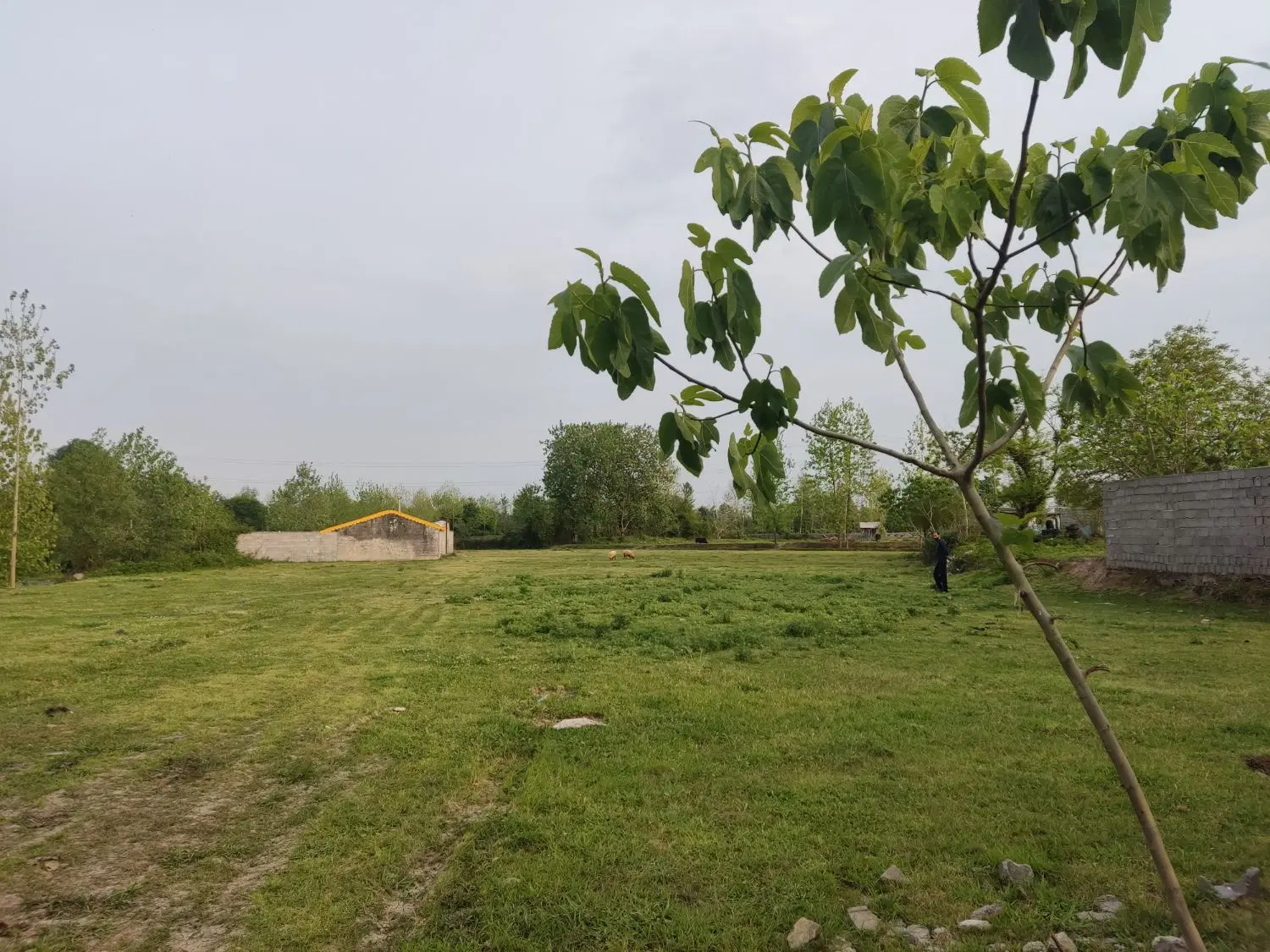 تصویر املاک 55715