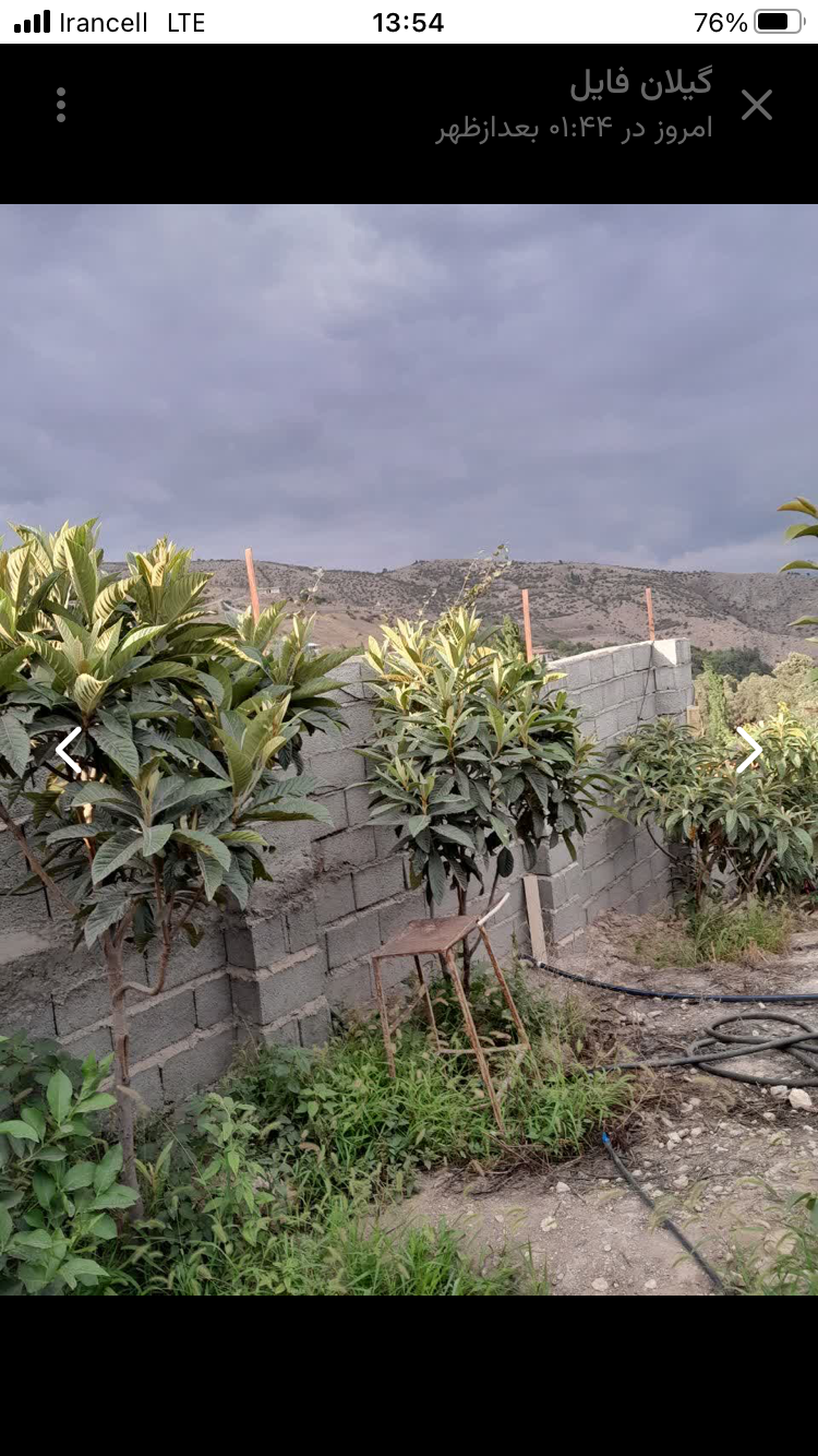 تصویر املاک 55559