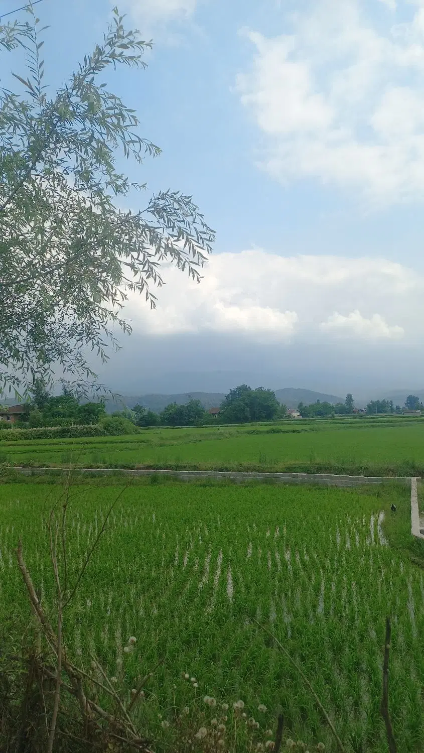 تصویر املاک 67480
