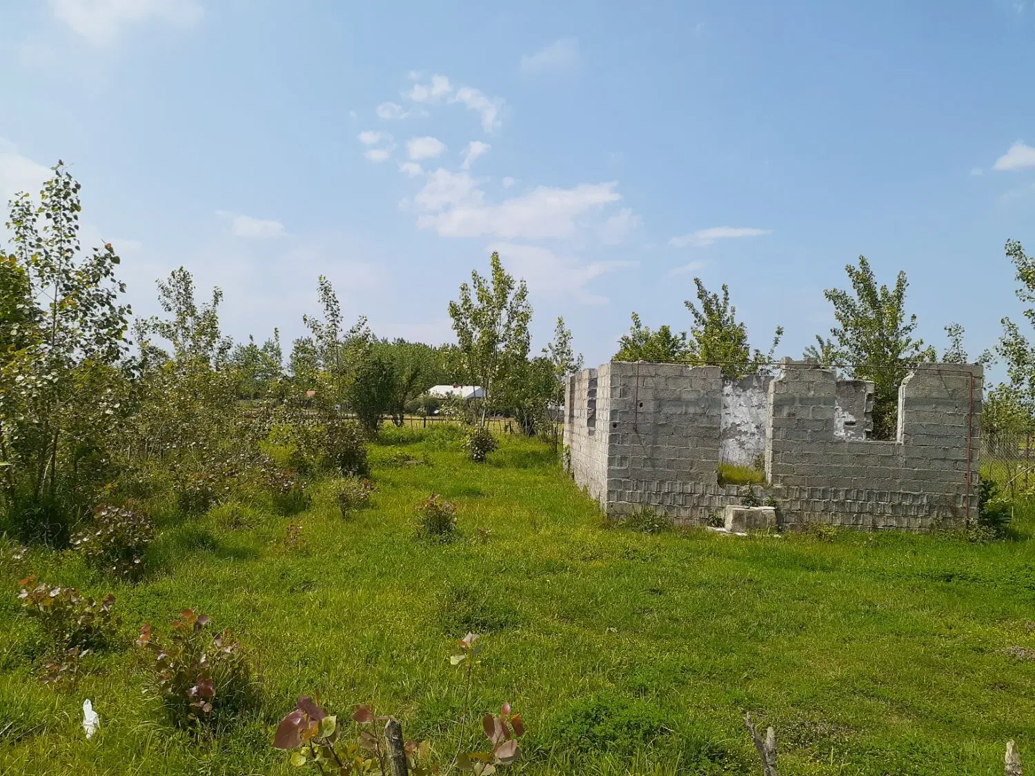 تصویر املاک 68255
