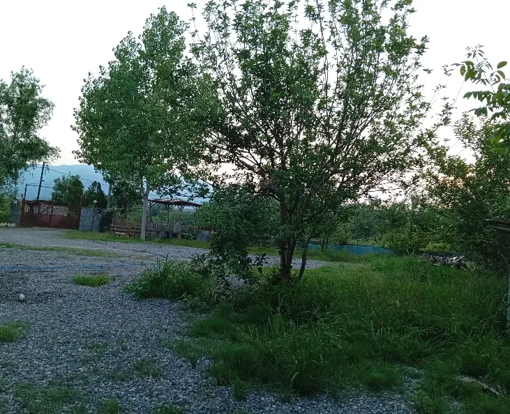 تصویر املاک 67688