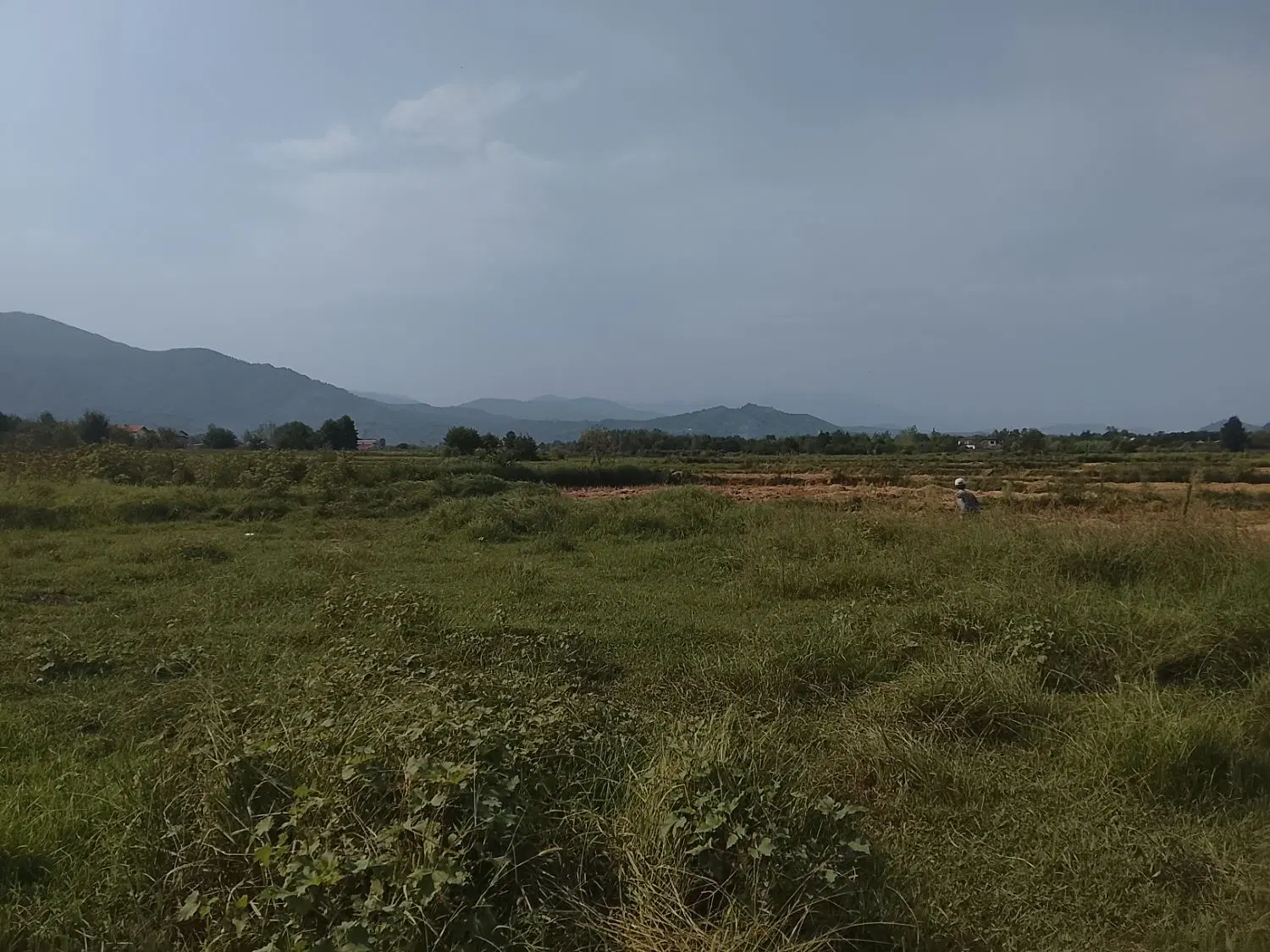 تصویر املاک 135026