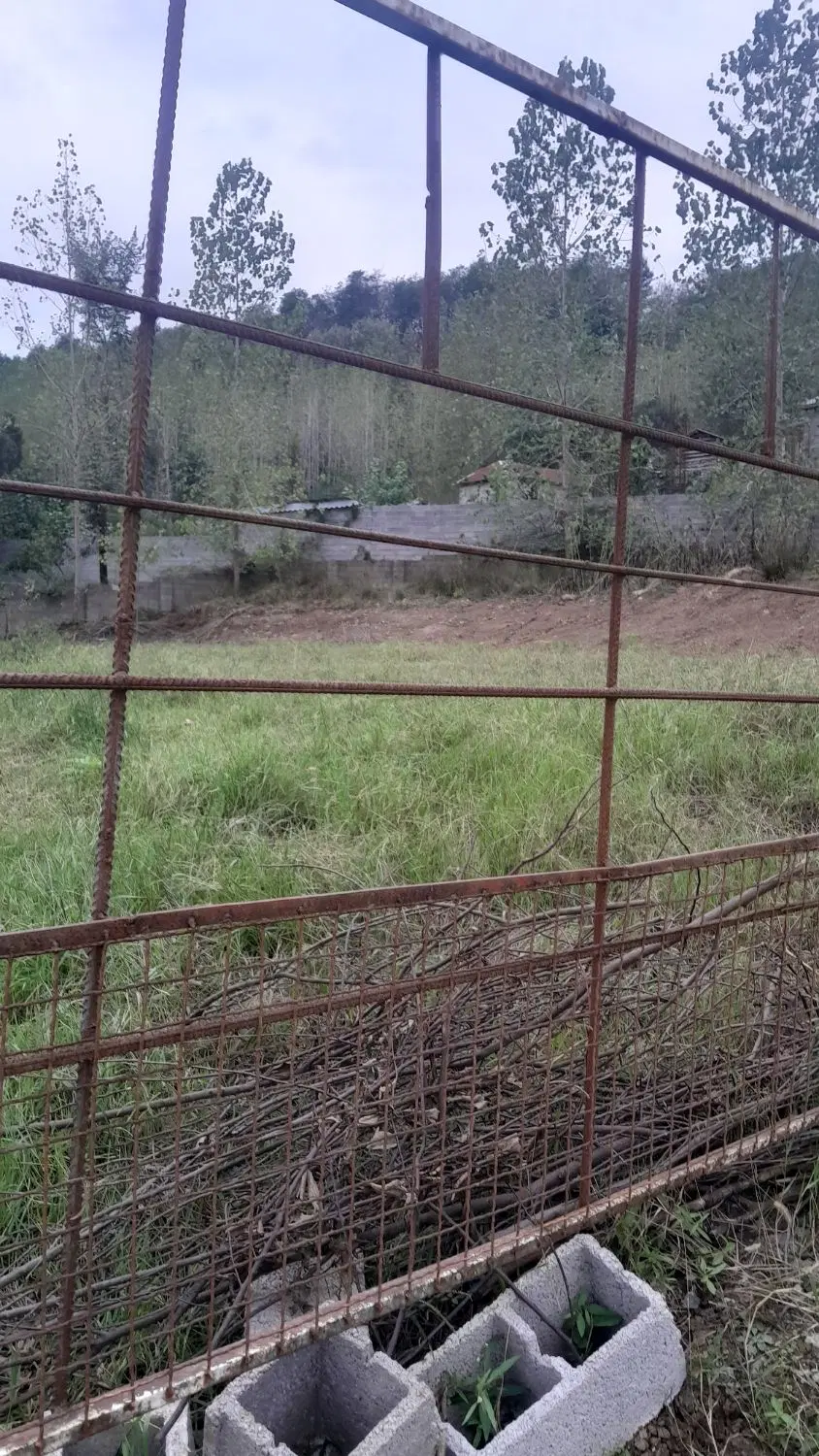 تصویر املاک 142321
