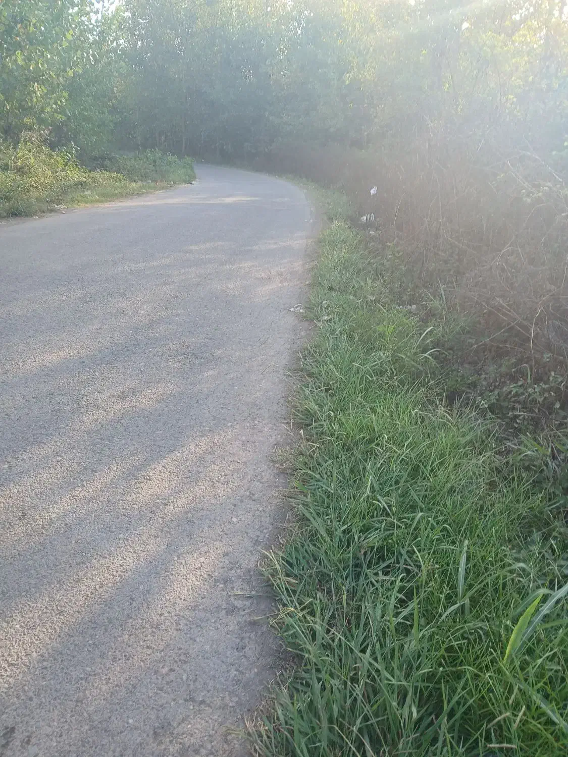 تصویر املاک 5558