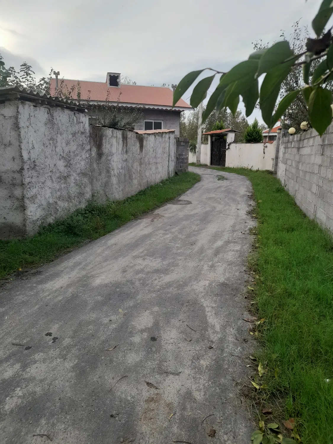 تصویر املاک 137229