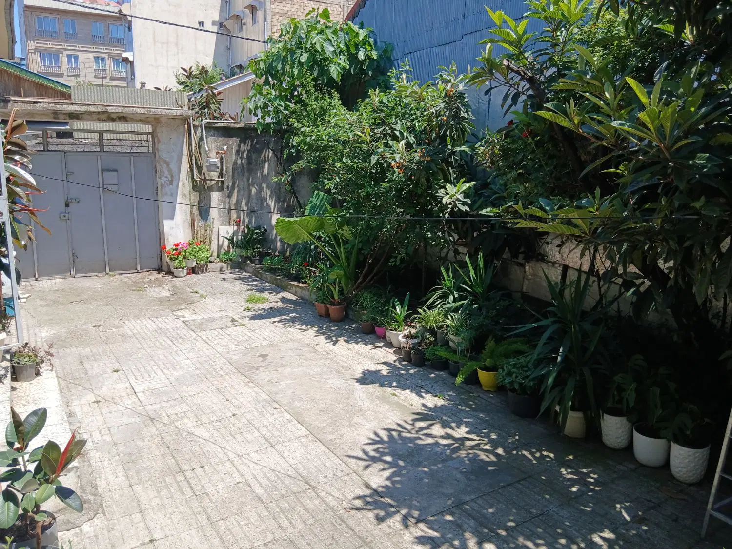 تصویر املاک 83433