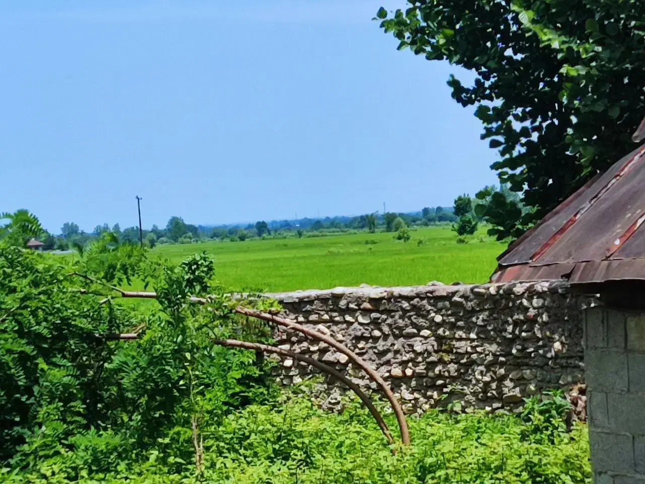 تصویر املاک 23310