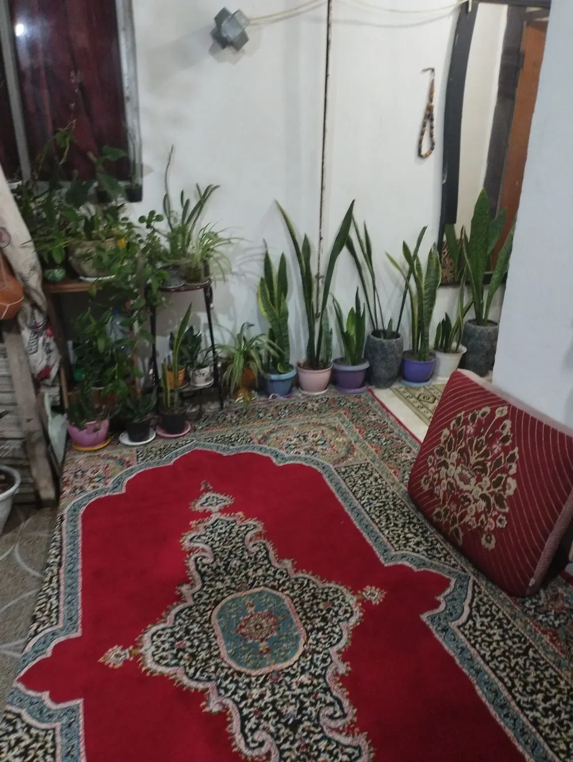 تصویر املاک 82402