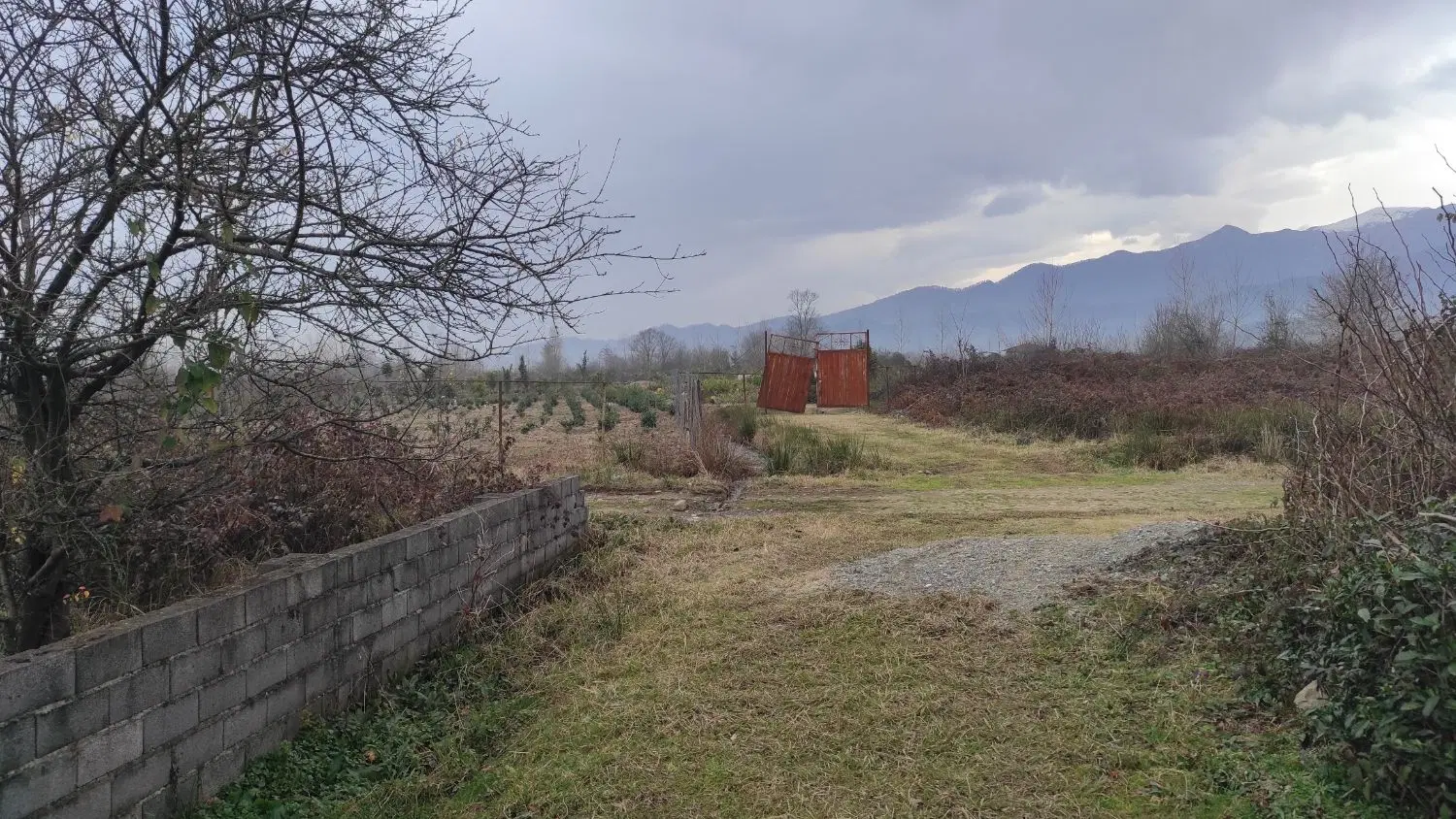 تصویر املاک 109577