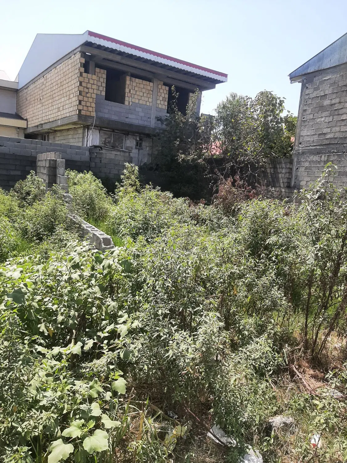تصویر املاک 118648
