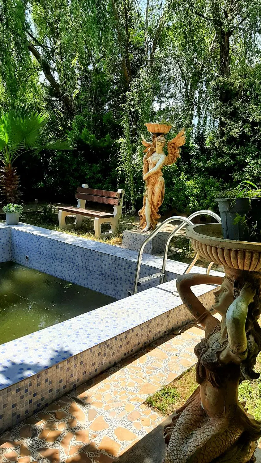 تصویر املاک 65142