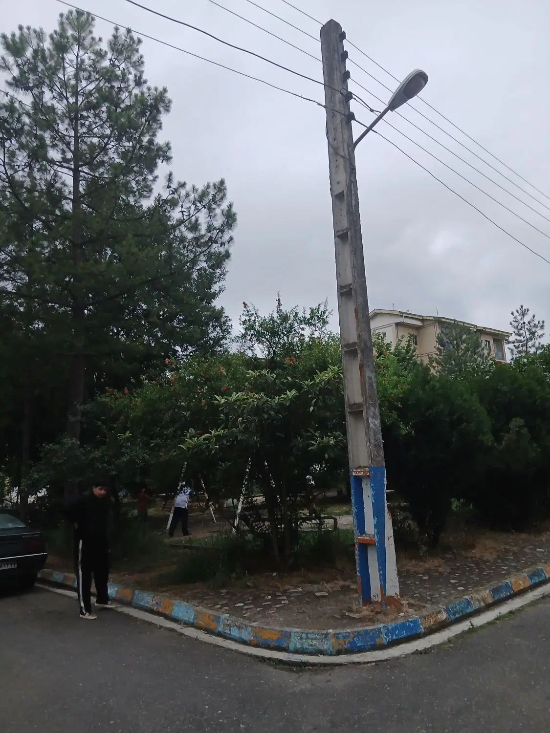 تصویر املاک 74402