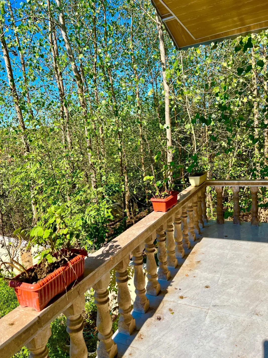 تصویر املاک 6197