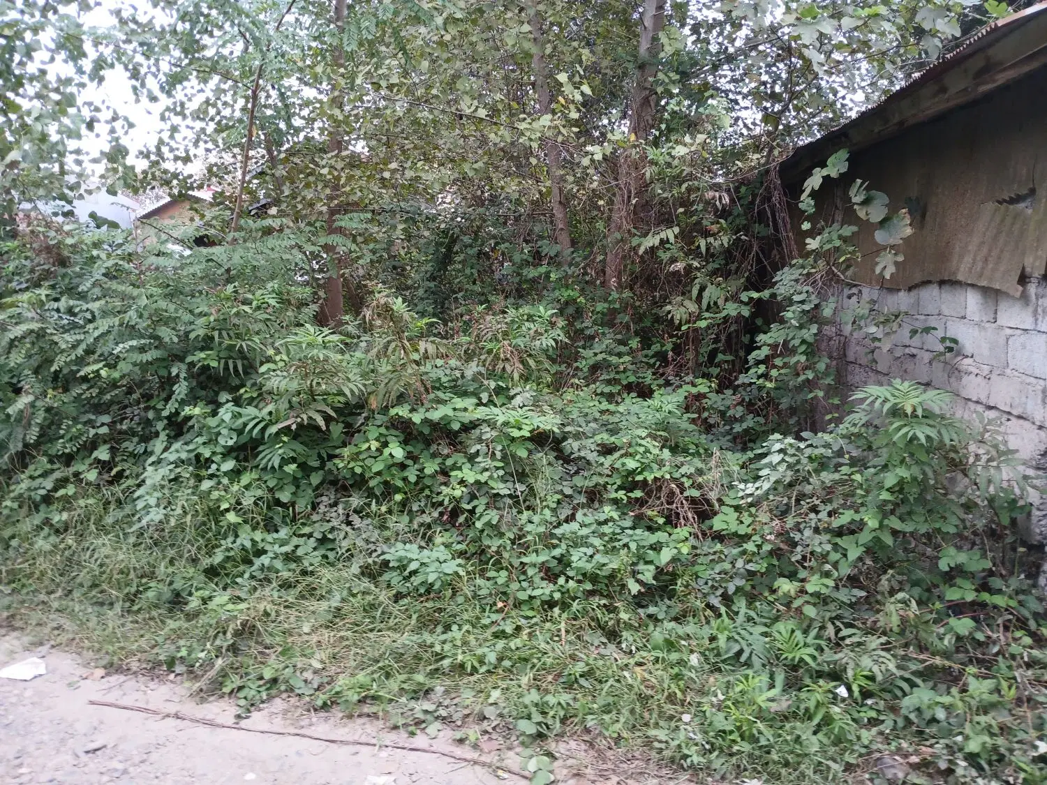 تصویر املاک 135766