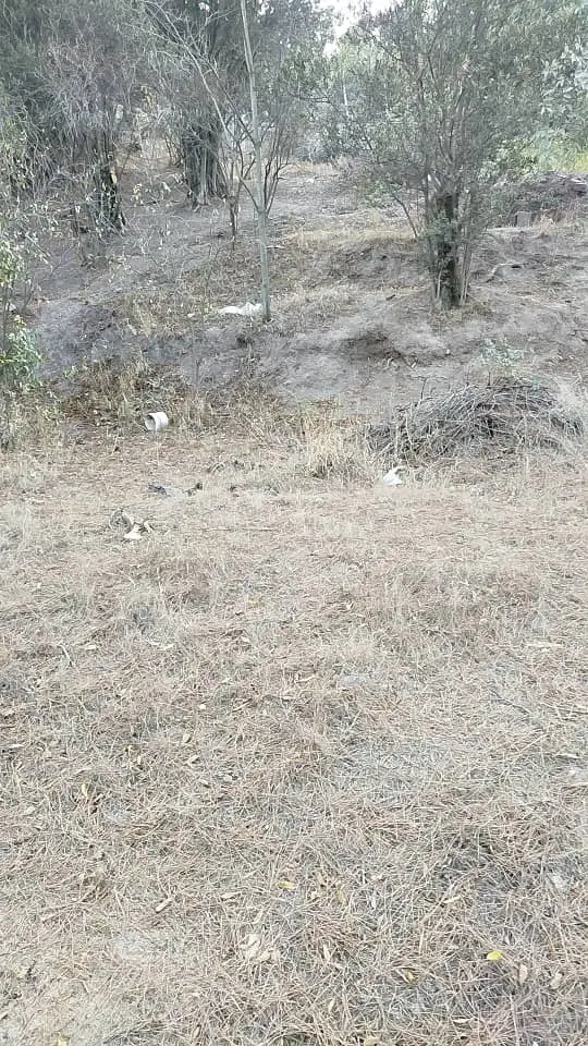 تصویر املاک 140177