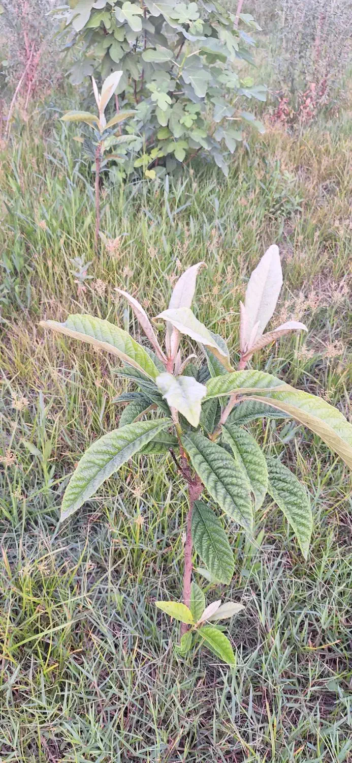 تصویر املاک 9169