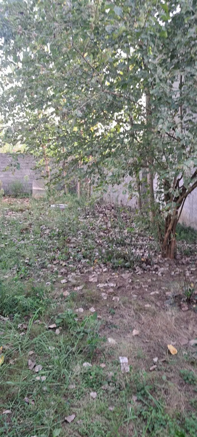 تصویر املاک 118156