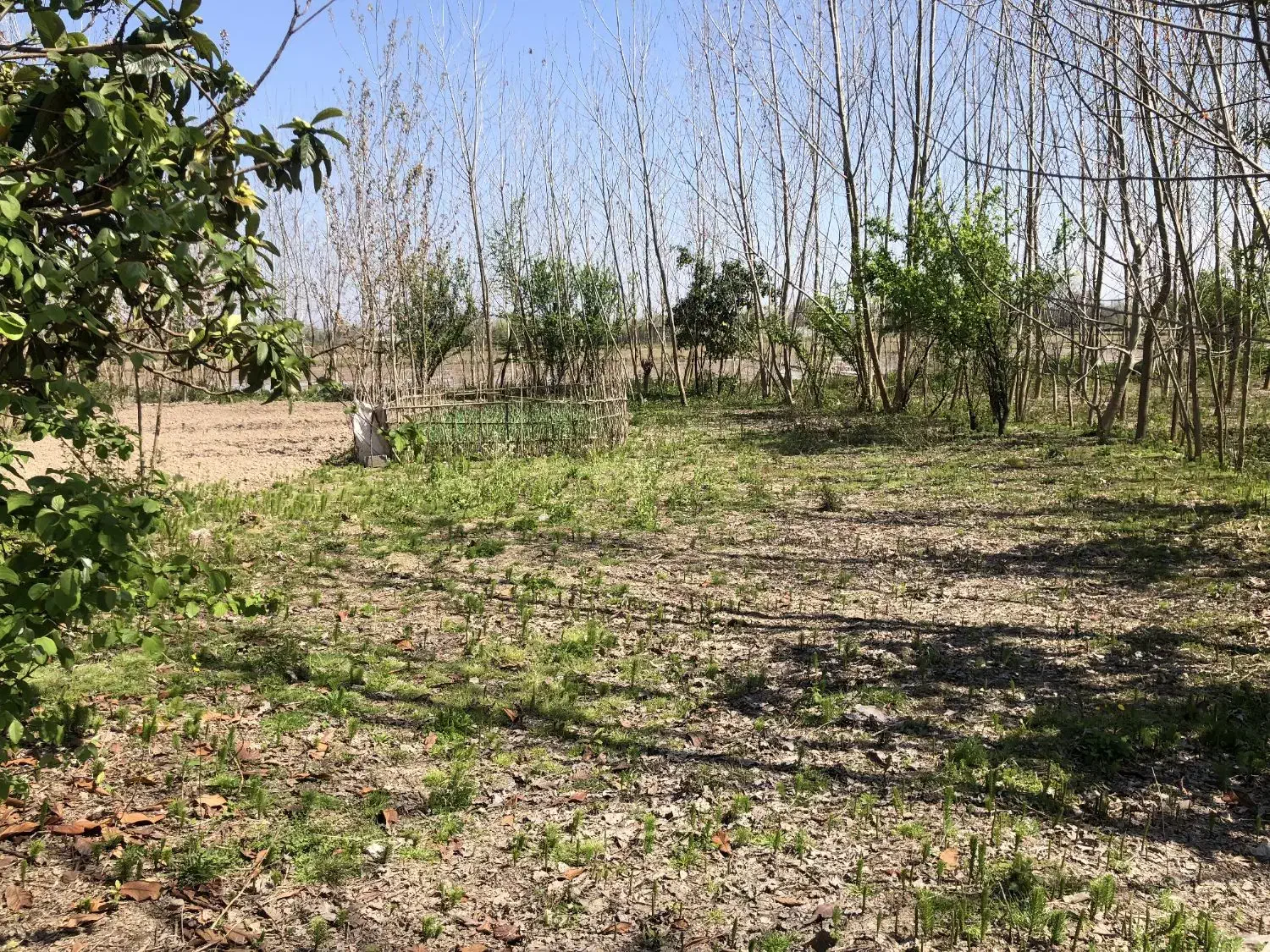 تصویر املاک 35060