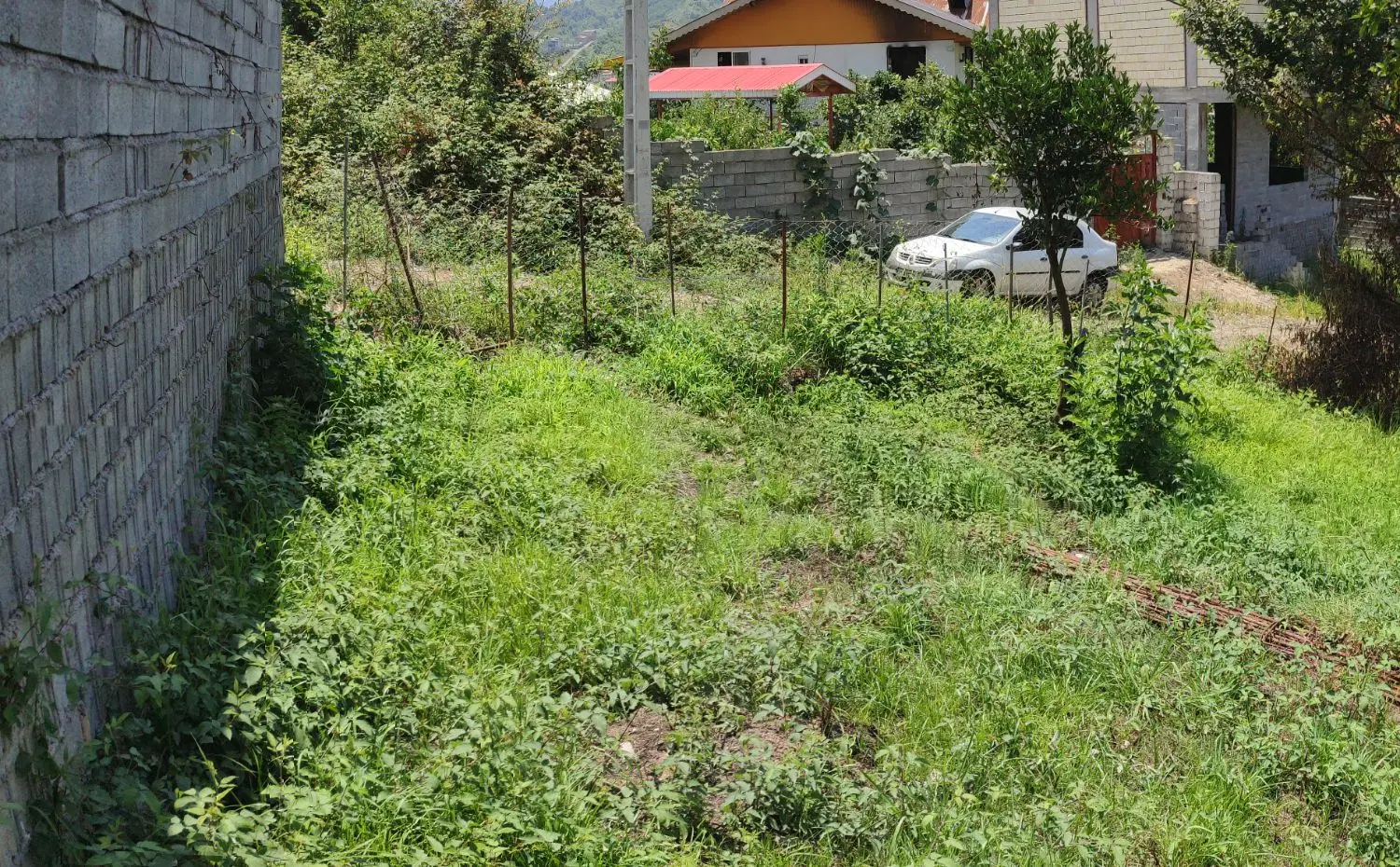 تصویر املاک 145539