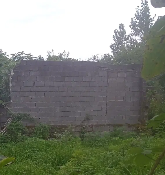 تصویر املاک 134073