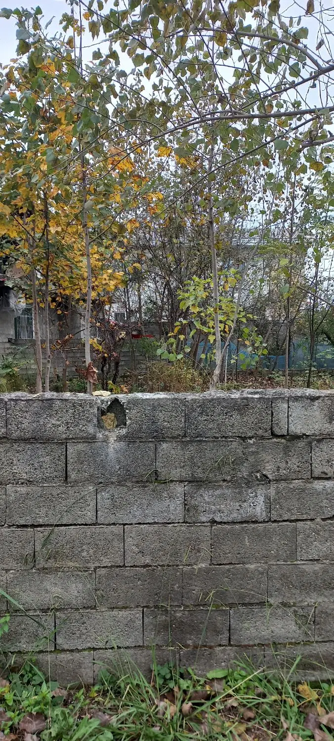 تصویر املاک 102380