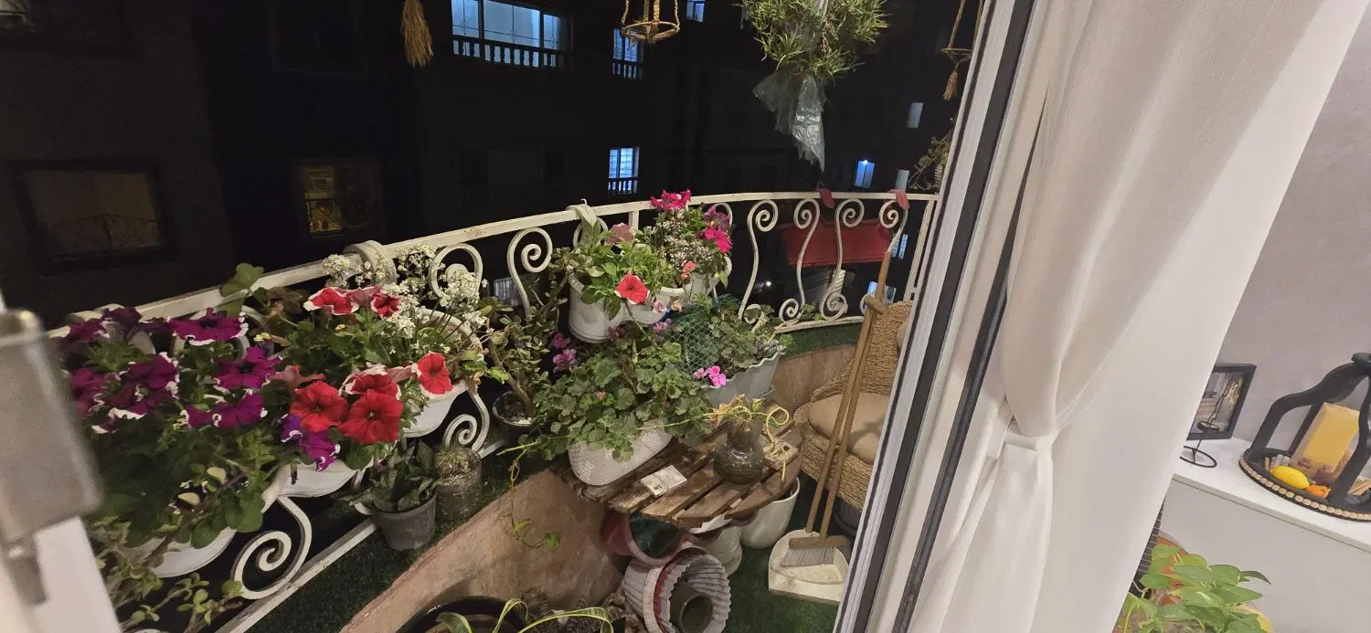 تصویر املاک 53381