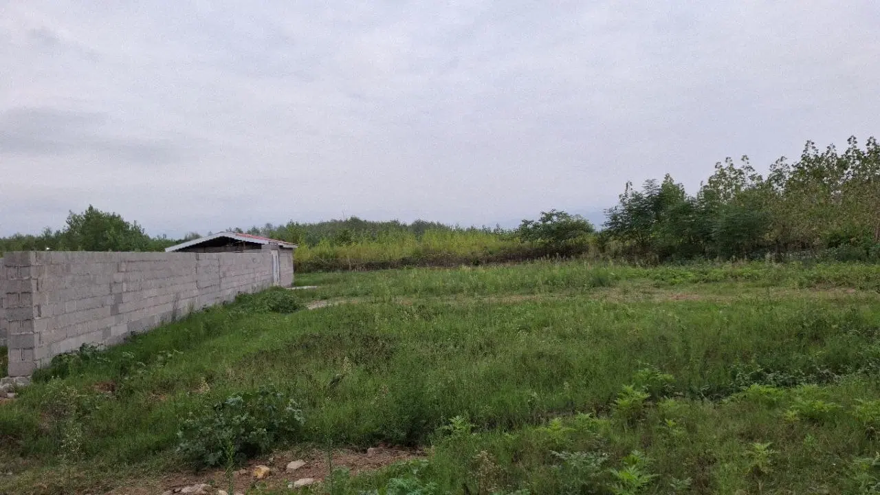 تصویر املاک 136539