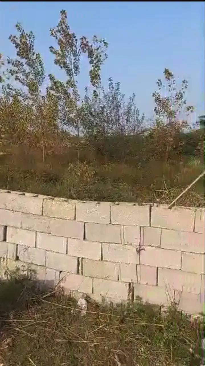 تصویر املاک 5115