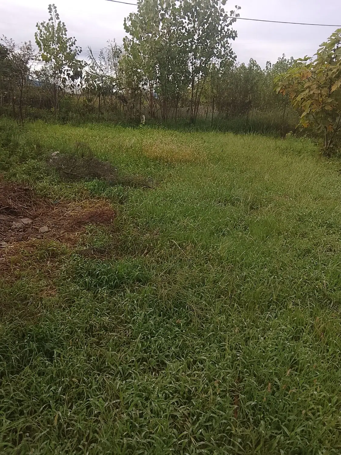 تصویر املاک 121445
