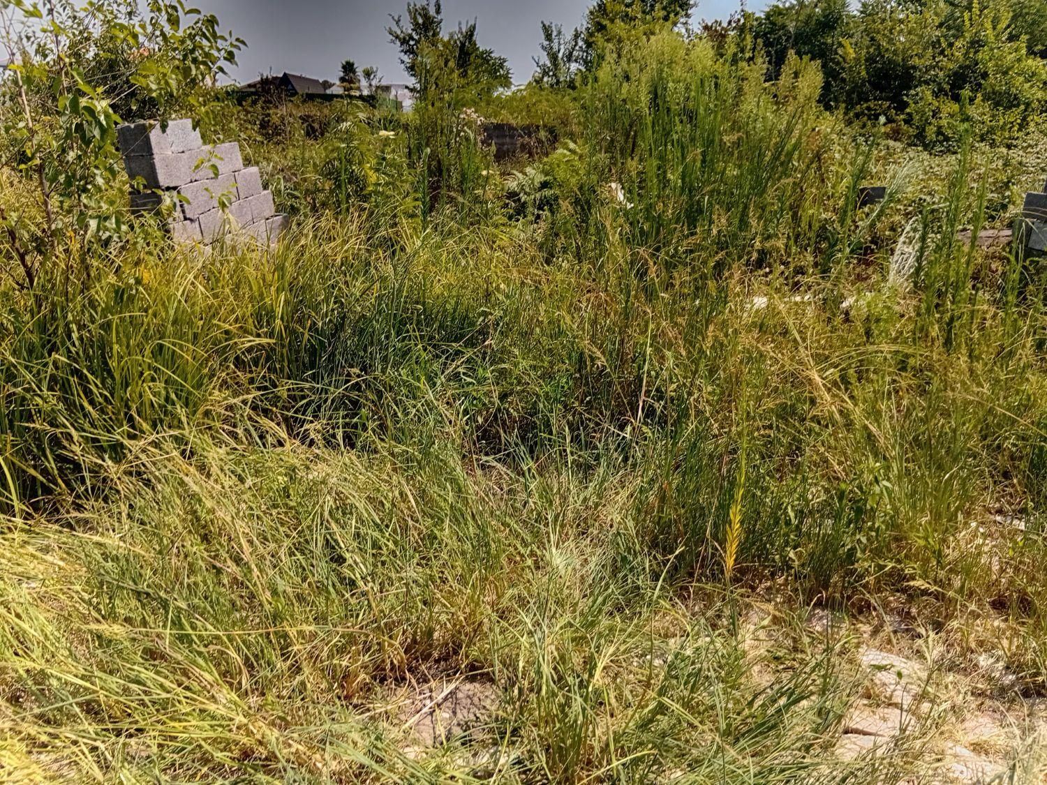 تصویر املاک 9350