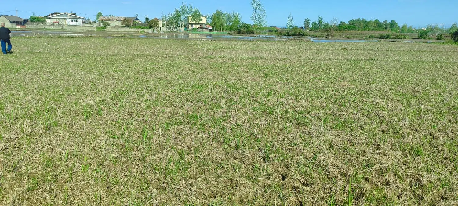 تصویر املاک 112743