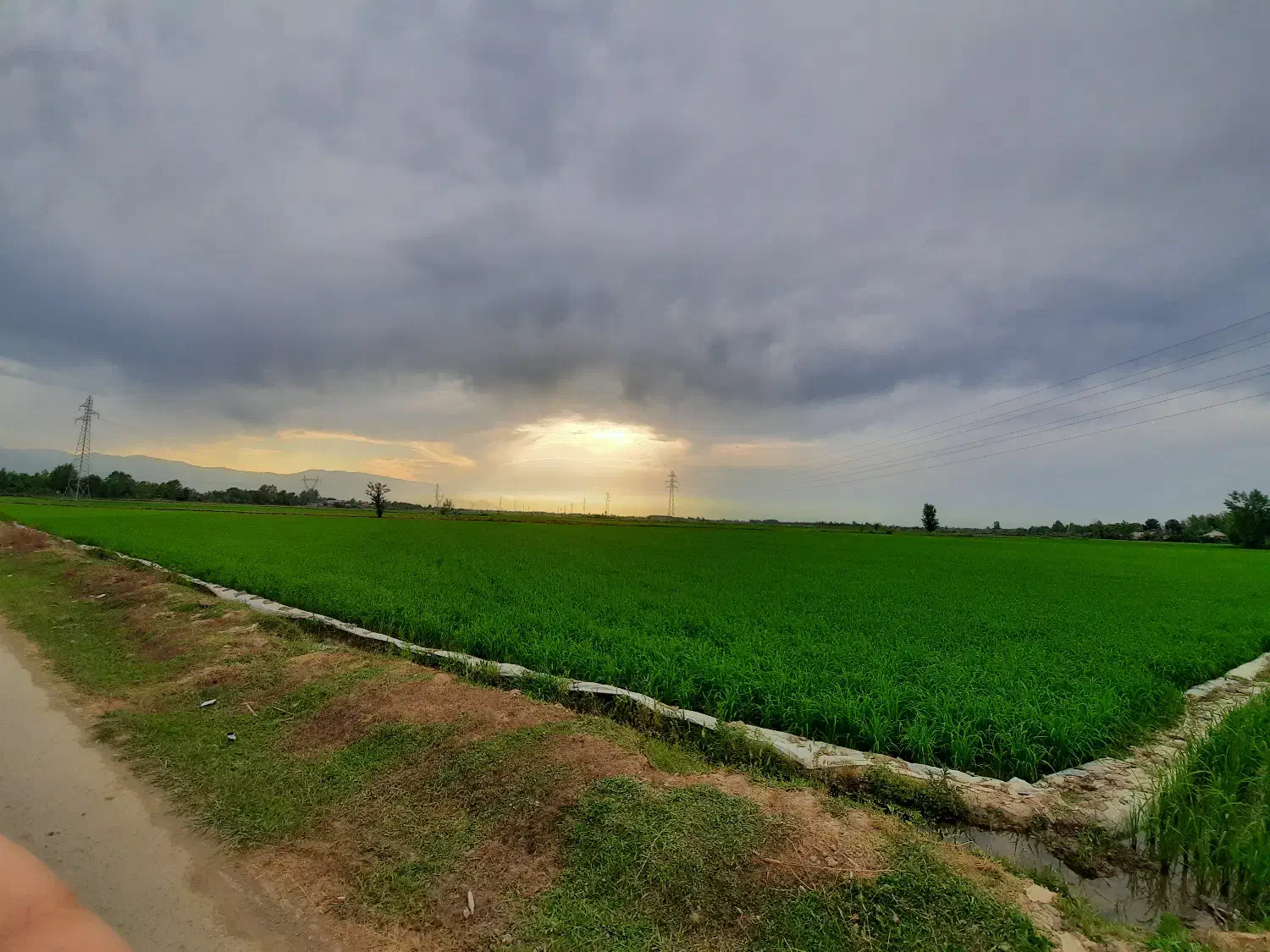 تصویر املاک 36356