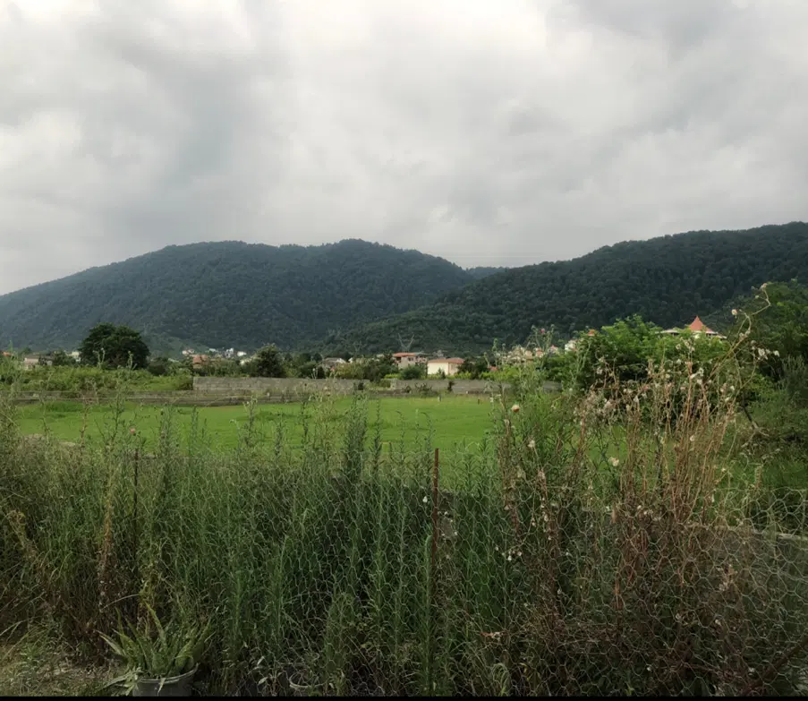 تصویر املاک 116866