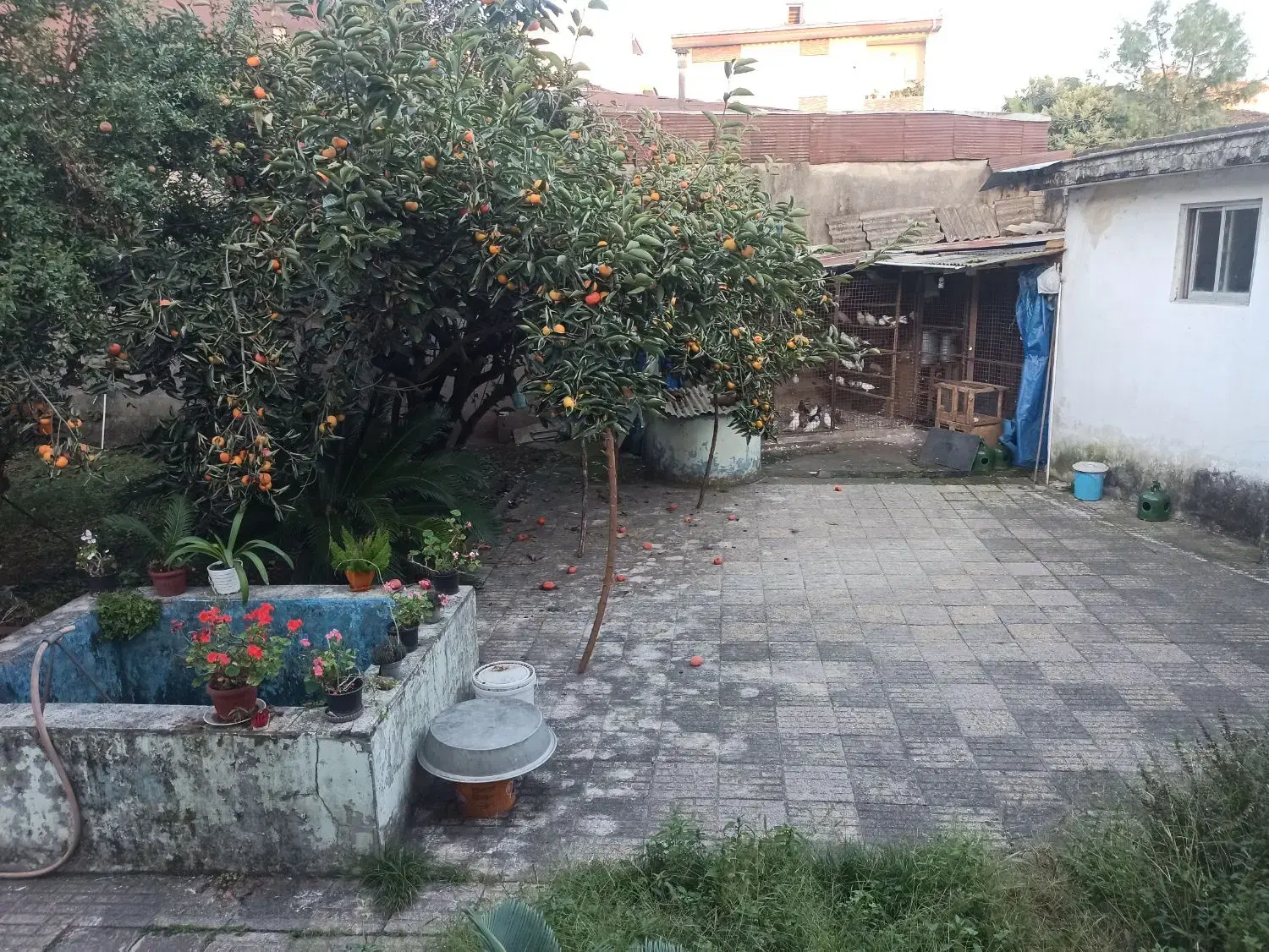 تصویر املاک 76493