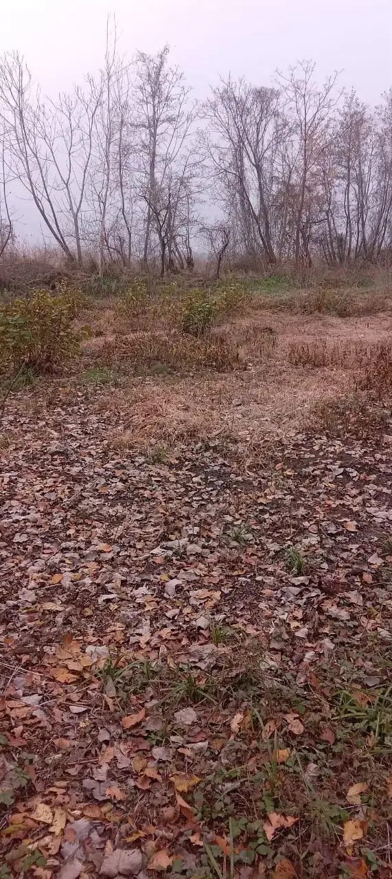 تصویر املاک 56470