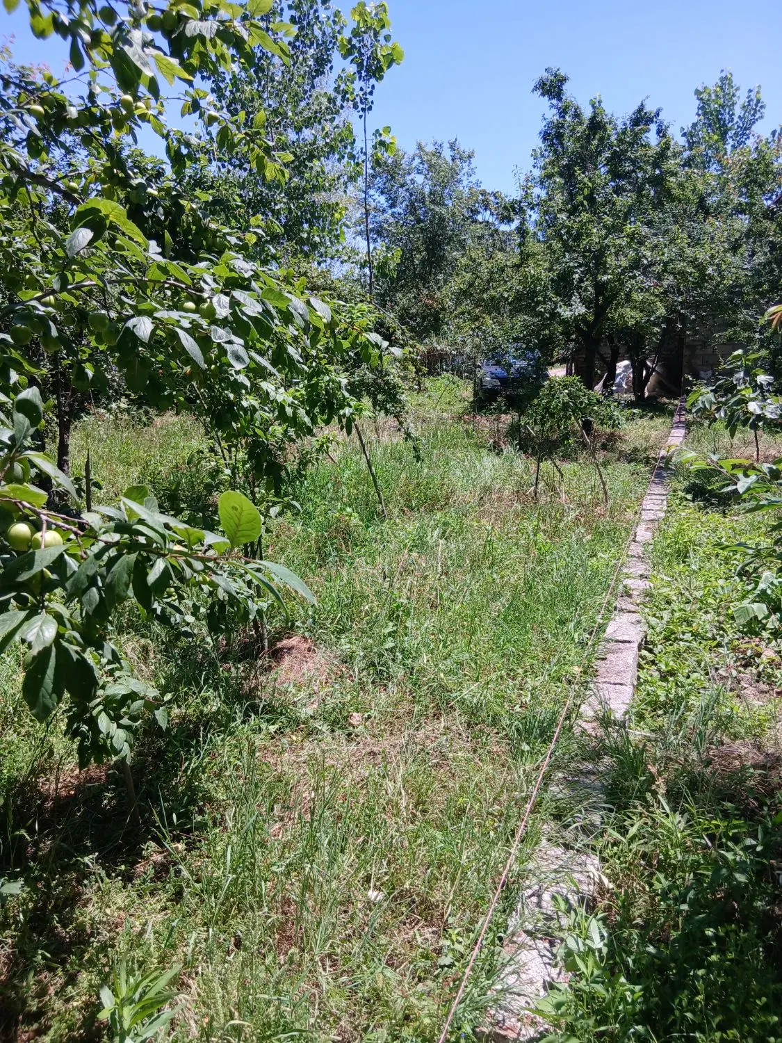 تصویر املاک 62908