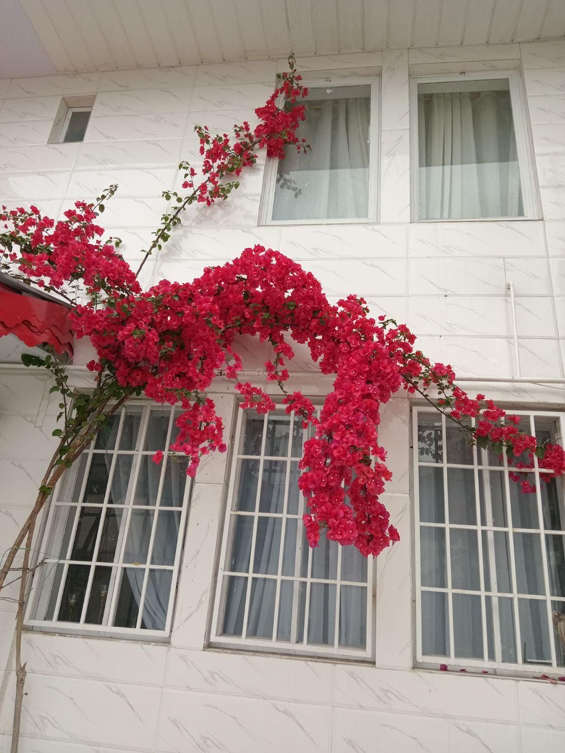 تصویر املاک 22535