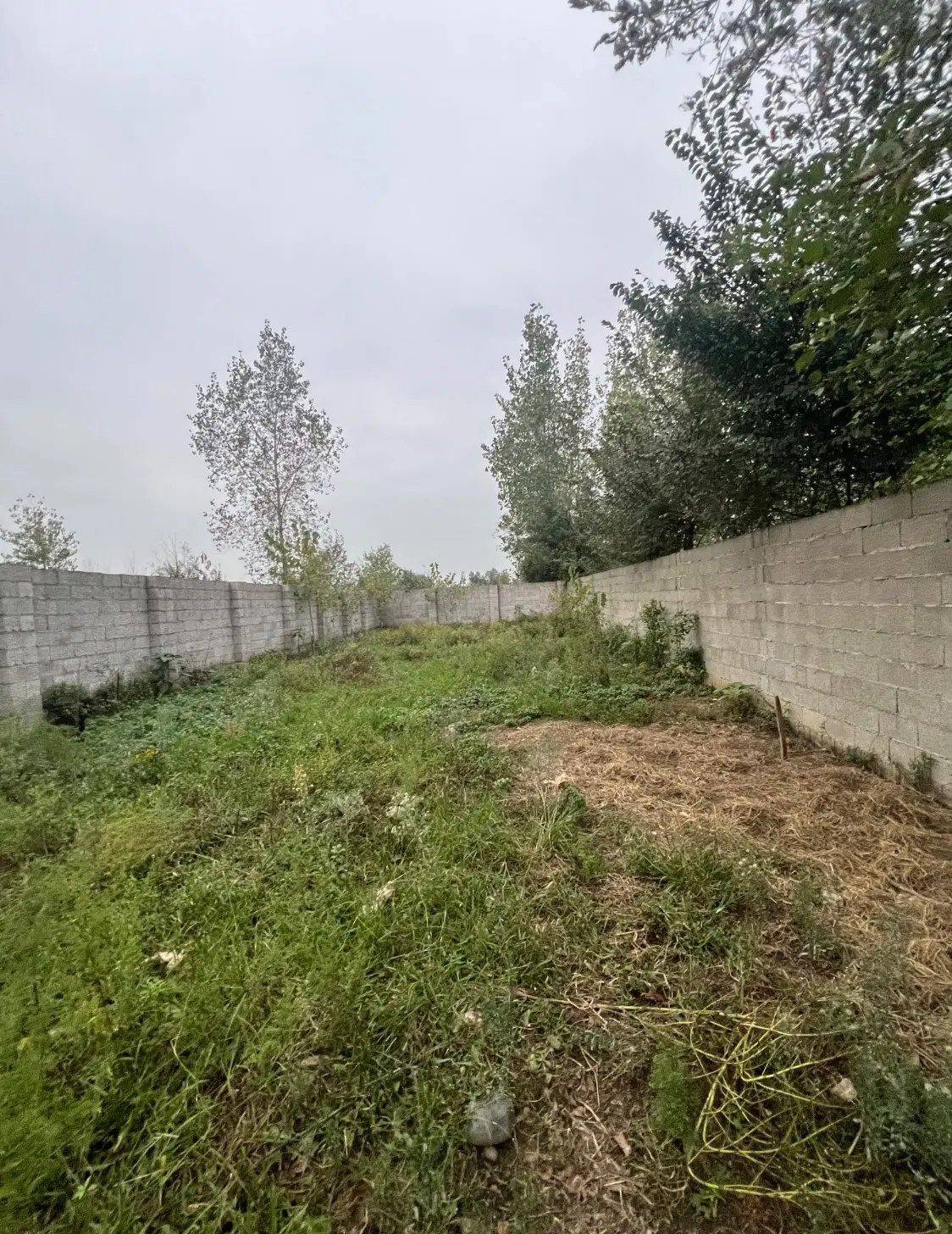 تصویر املاک 132738
